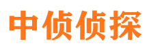 无极捉小三公司